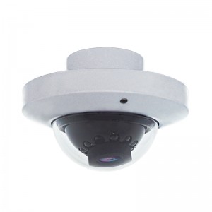 Inside Dome Camera