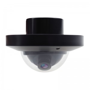 Inside Dome CCTV Camera