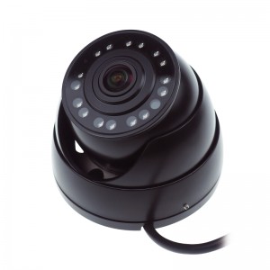 Wide Angle Dome Camera