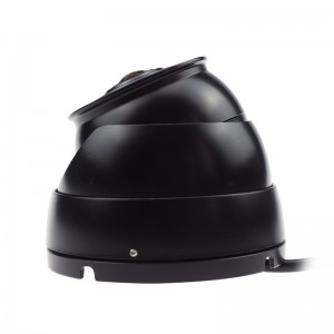 Wide Angle Dome Camera