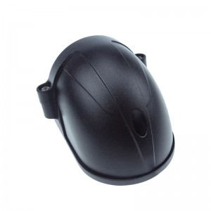 HD Side View IP Camera
