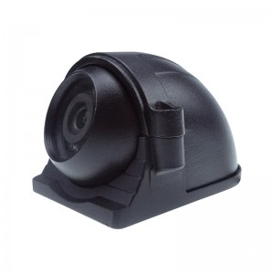 HD Side View IP Camera