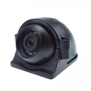 HD Side View IP Camera