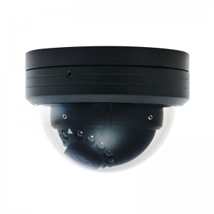 Heavy Duty Dome IP Camera