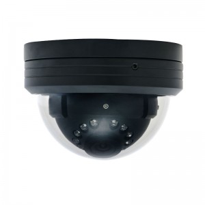 Heavy Duty Dome IP Camera