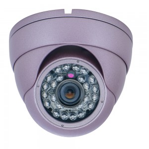 Bus/Truck Dome Camera