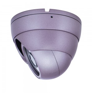 Bus/Truck Dome Camera