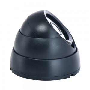 Interior Dome Camera