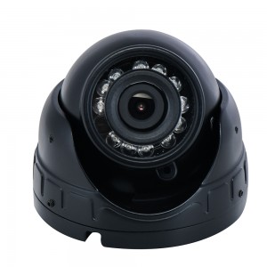 Car Surveillance Dome IP Camera