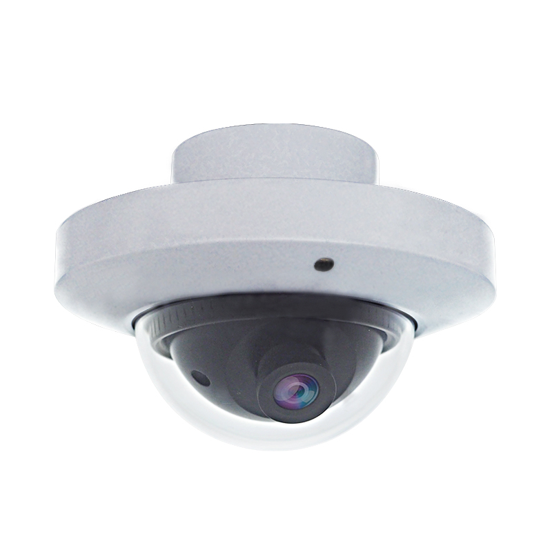 Internal Dome IP Camera