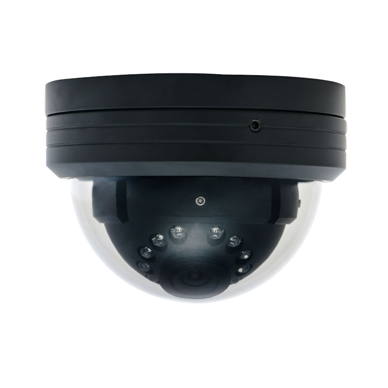 Heavy Duty Dome IP Camera